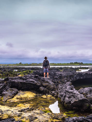 galapagos_isabela island_landskab_02