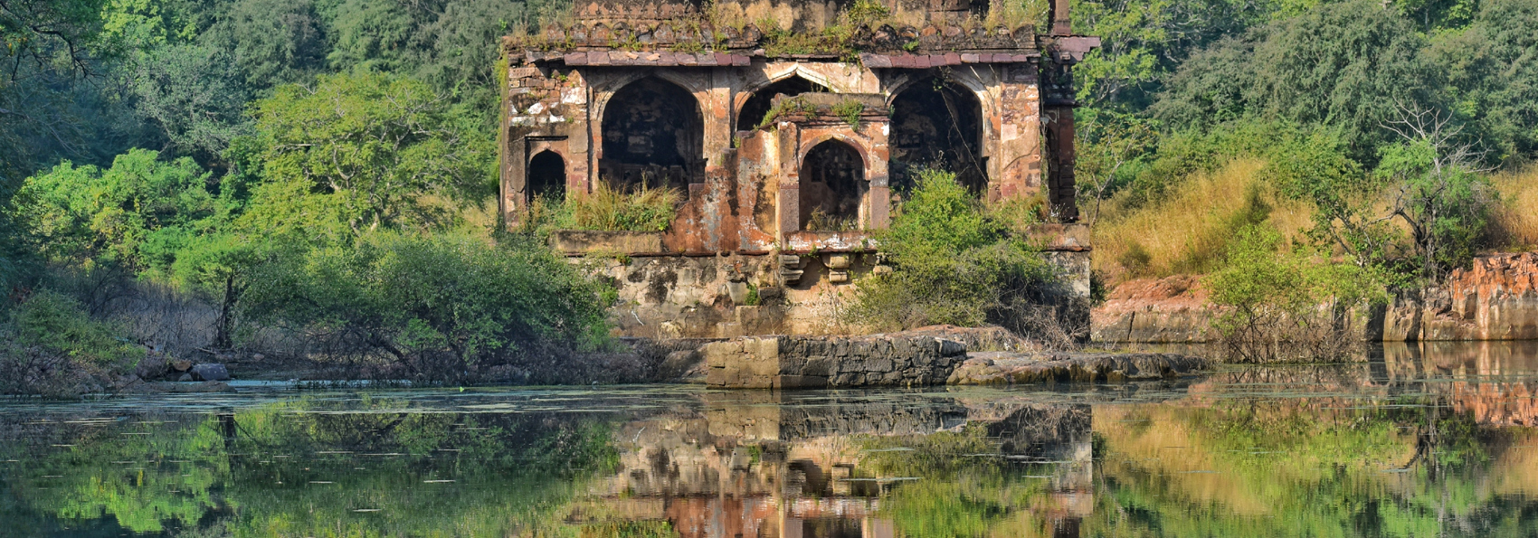 Ranthambore10