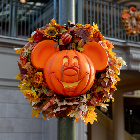 Disneyland Mickey
