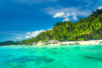 thailand - koh_samui_tropisk_strand_og_skov