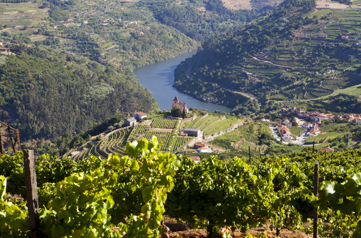 Douro Dalen_10