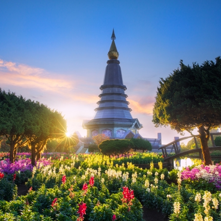 Doi Inthanon Pogoda Og Blomsterhave