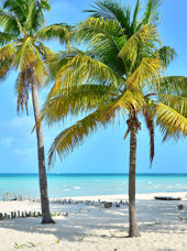 mexico - Isla Mujeres_strand_06