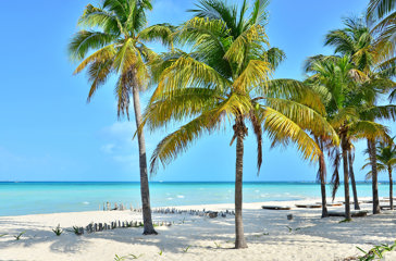 mexico - Isla Mujeres_strand_06