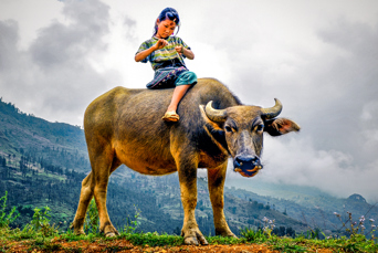 burma - burma_rismarker_pige_01