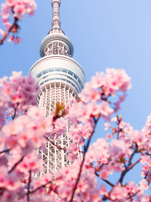 Tokyo Skytree Unsplash