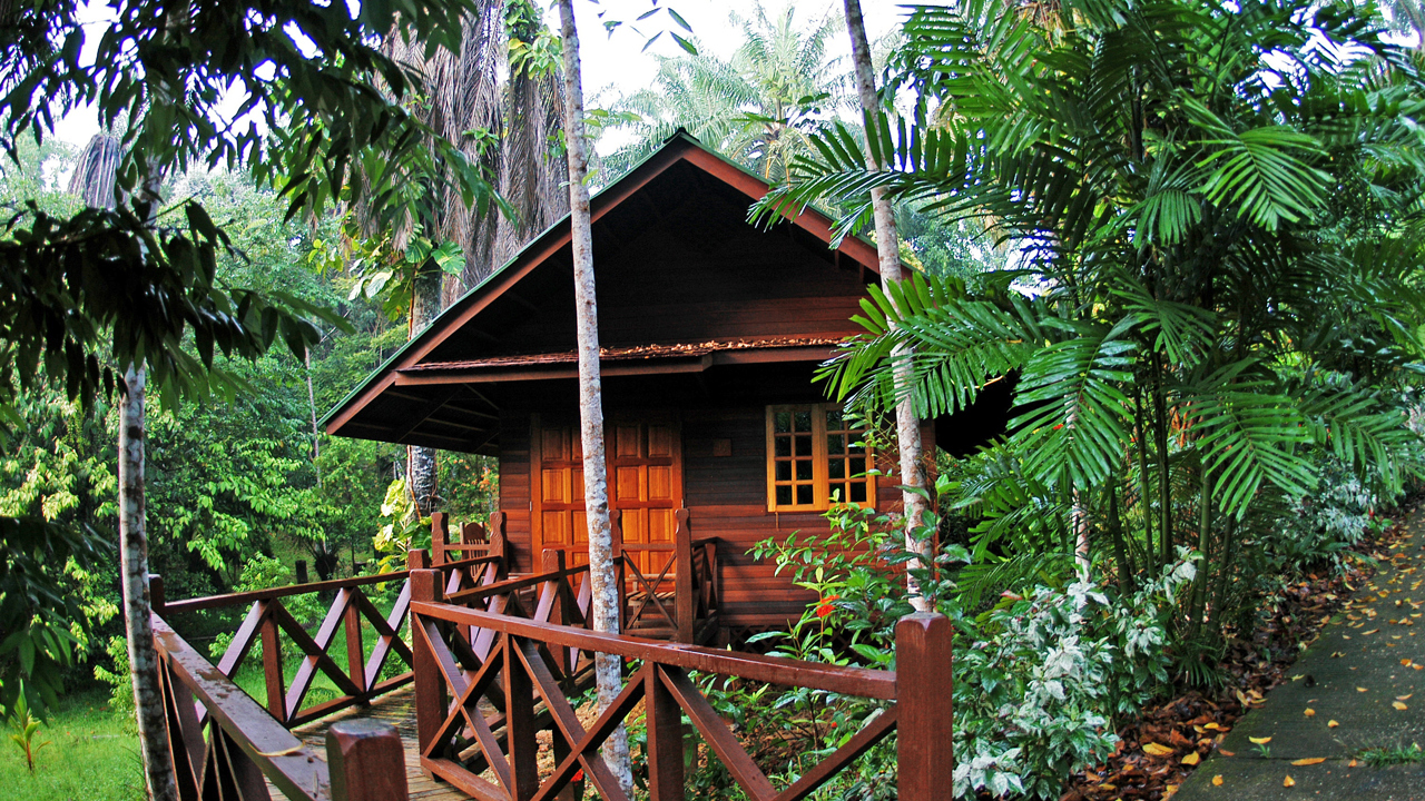 sepilok nature resort_01