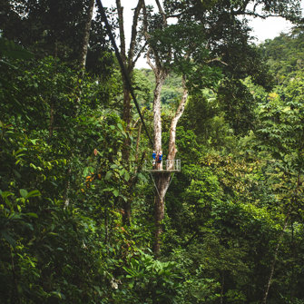 Canopy Zipline