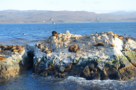 argentina - beagle channel_09