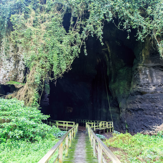 Gomantong Grotte Indgang