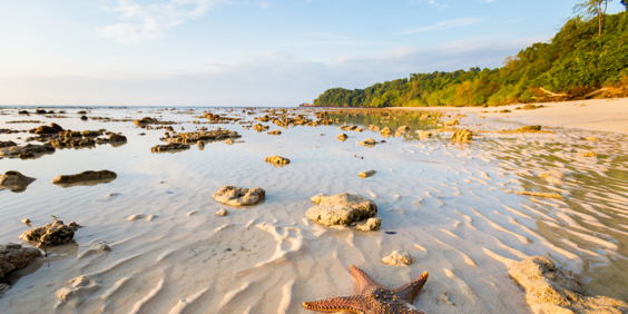 Koh Kradan Søstjerne 01 1053227171
