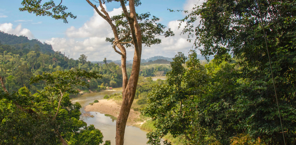 malaysia - Taman negara_04