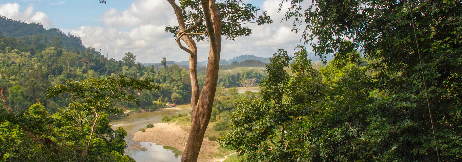 malaysia - Taman negara_04