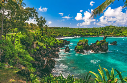 Black Sand Bay Hana Highway