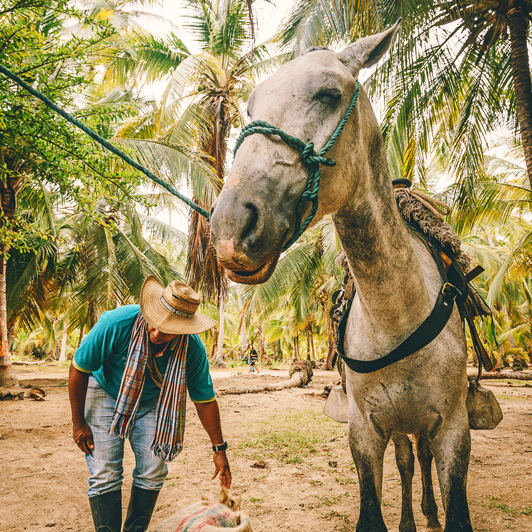 colombia - colombia_tayrona_befolkning_hest_01_hf