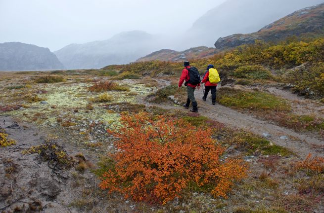 Igaliku Vandring 2701152225