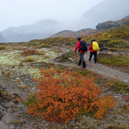 Igaliku Vandring 2701152225