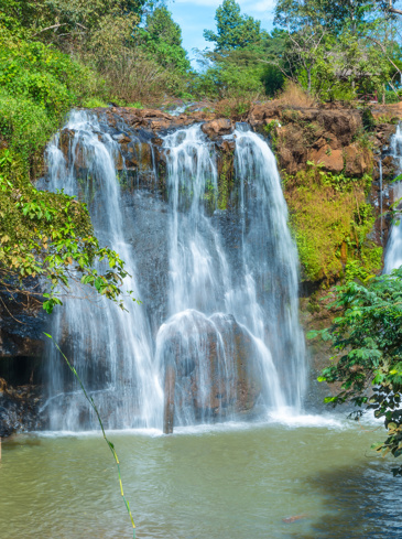 Adobestock 241387418