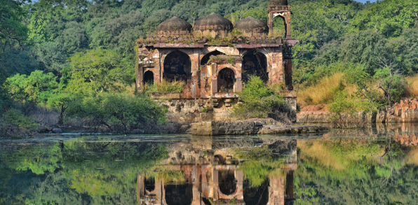 Ranthambore09