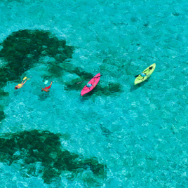 dansk vestindien - st croix_busk island_snorkling_01