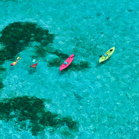 dansk vestindien - st croix_busk island_snorkling_01
