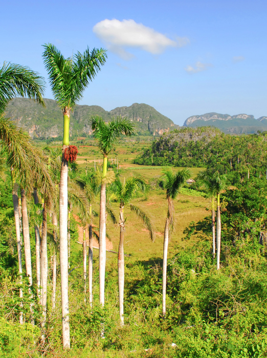 cuba - pinar del rio_04