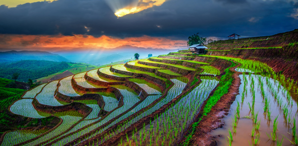 thailand - chiang mai_risterasser_01
