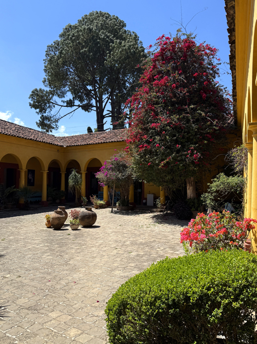 Frans Bloms Hus 02 Pernille