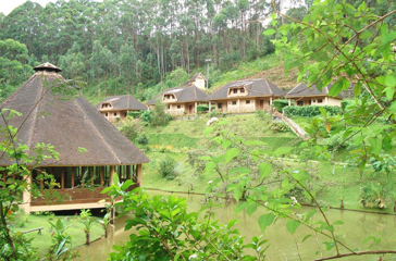vakona forest lodge_vaerelses hytter_natur_udendoersareal_01