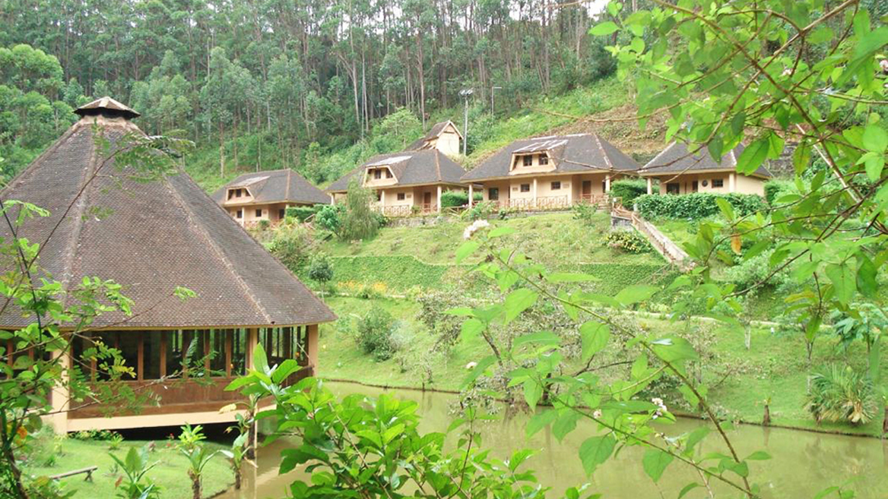 vakona forest lodge_vaerelses hytter_natur_udendoersareal_01
