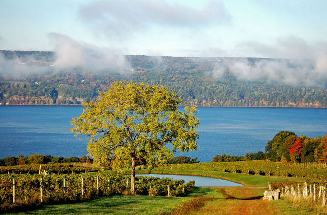 usa - finger lakes