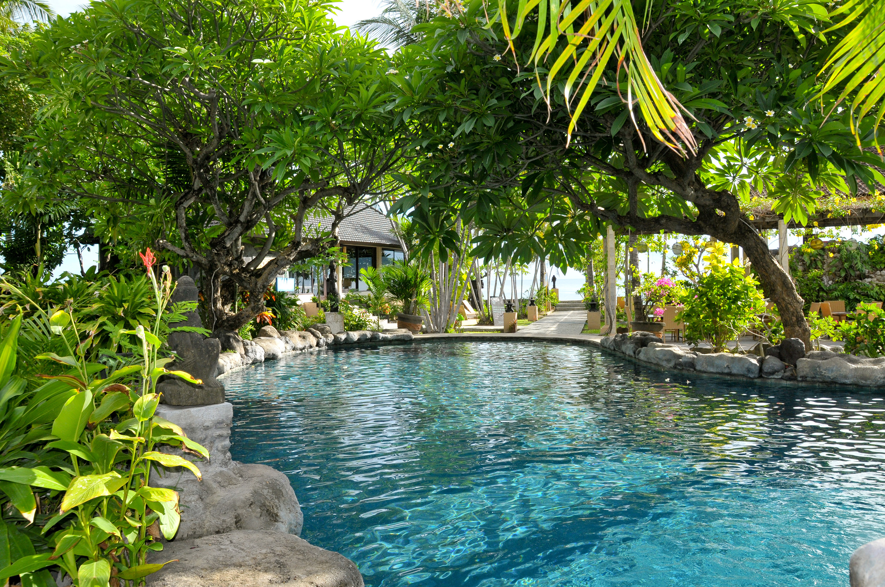 bali - amed - hidden paradise_pool_01