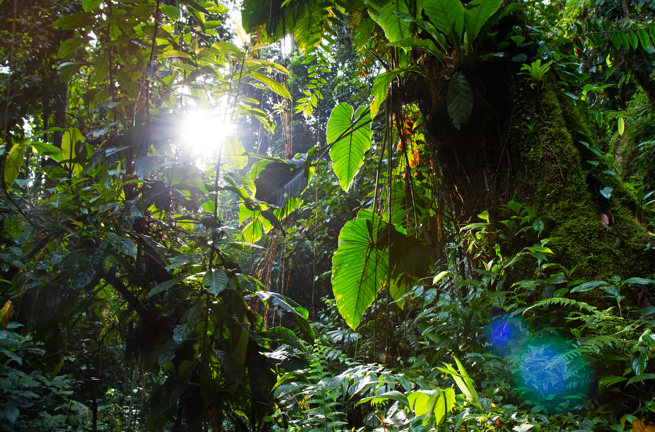 colombia - colombia_sierra nevada_teyuna_ciudad perdida_lost city_01