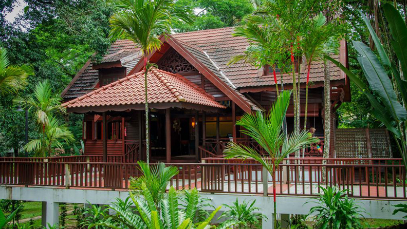 malaysia - Mutiara taman negara_02