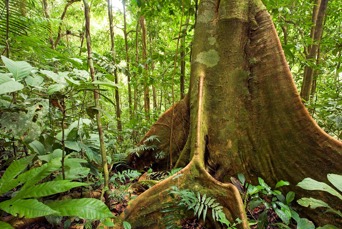 ecuador_amazonas_04