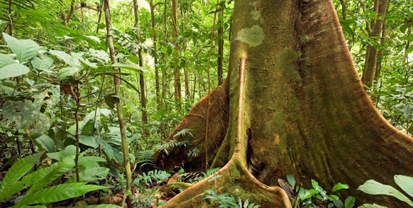 ecuador_amazonas_04