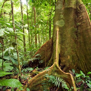ecuador_amazonas_04