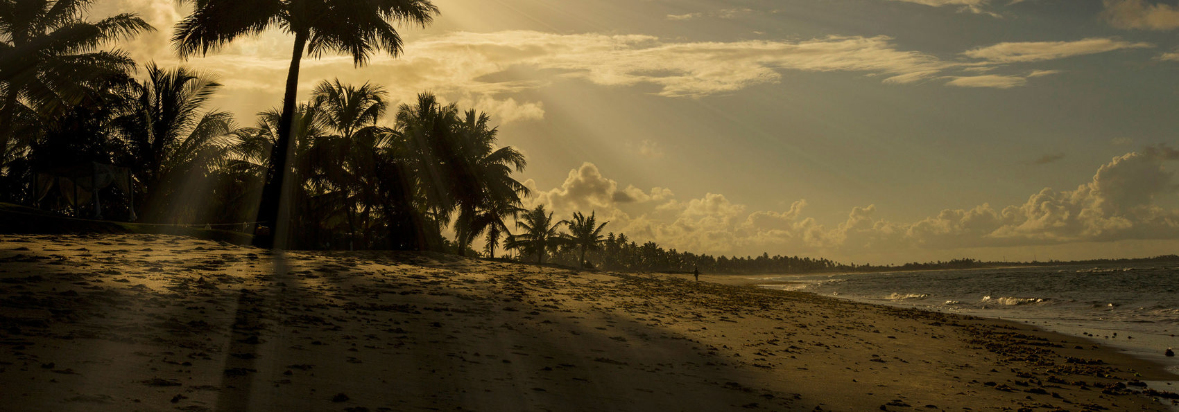 Praia Do Forte200