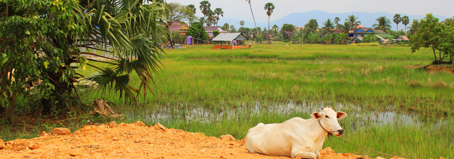 cambodia - cambodia_kampot_01