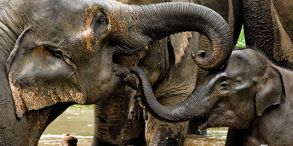 laos - DSC3859