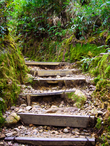 kinabalu national park_01