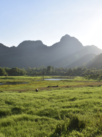 Gal Oya National Park
