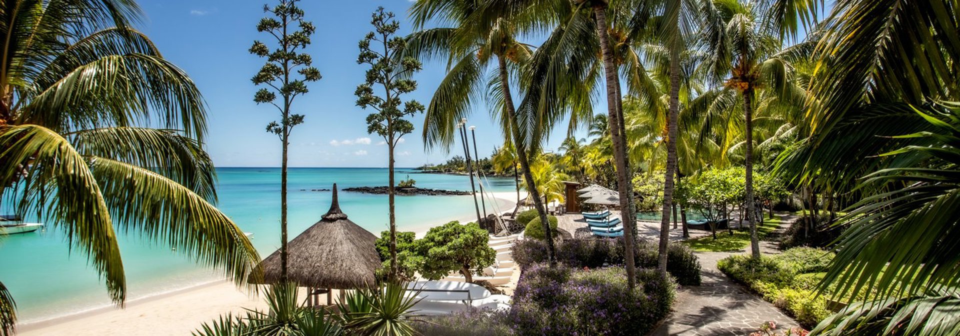 Royal Palm Beachcomber3