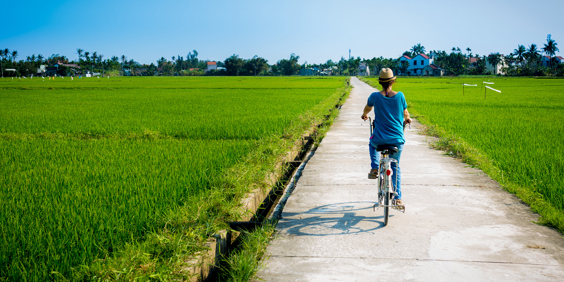 vietnam - hoi an rismark