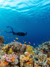 Snorkling