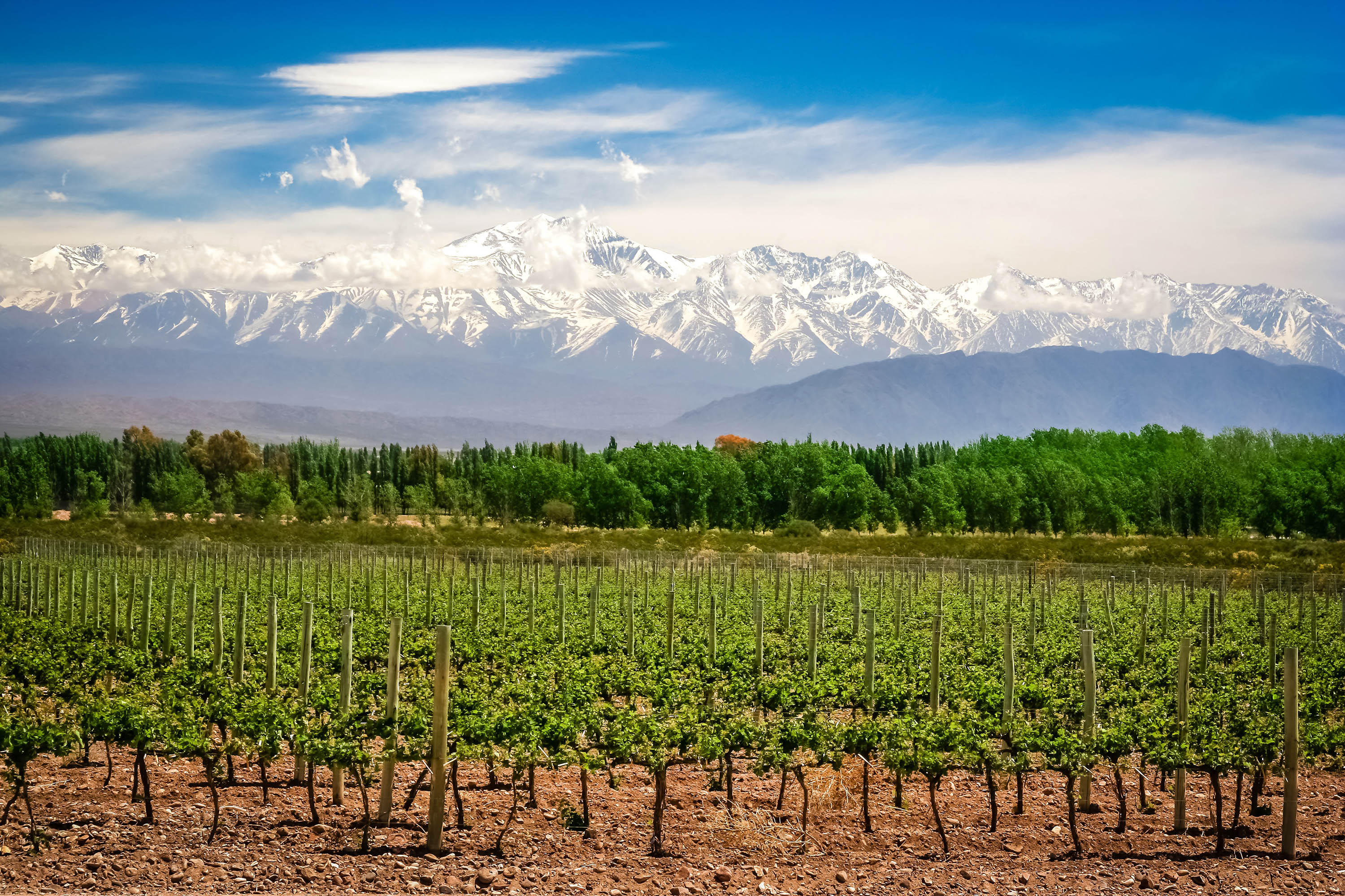 argentina - mendoza_vinmark_01