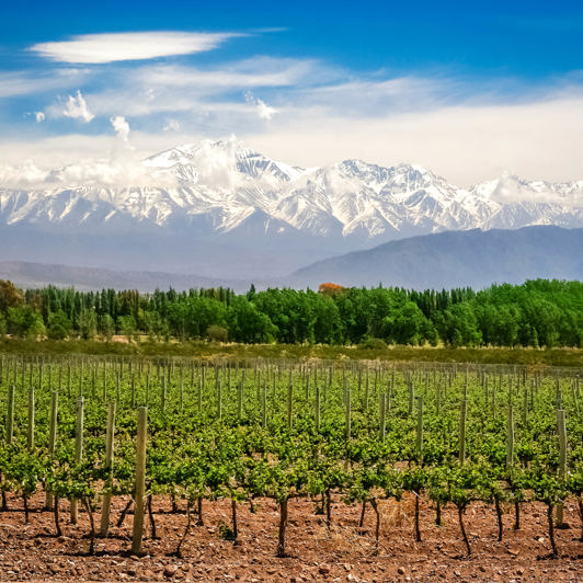 argentina - mendoza_vinmark_01