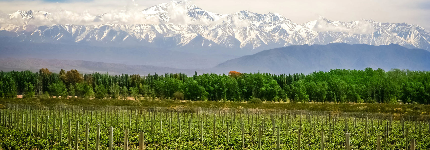 argentina - mendoza_vinmark_01