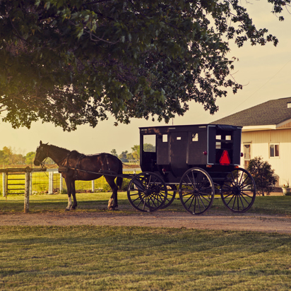 usa - lancaster amish hestevogn