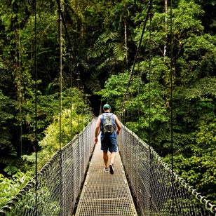 Costa Ricas berømte cloud forest opleves fra hængebroer i trætoppene